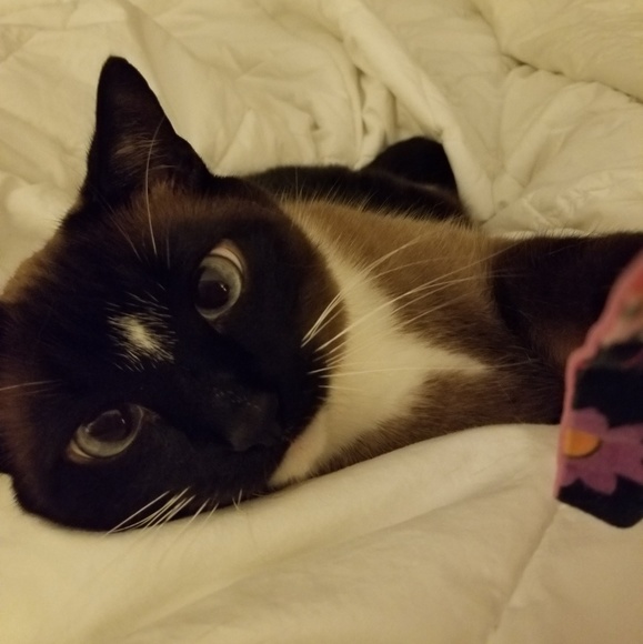 Meet your Posher, Dallas - Picture 7 of 8